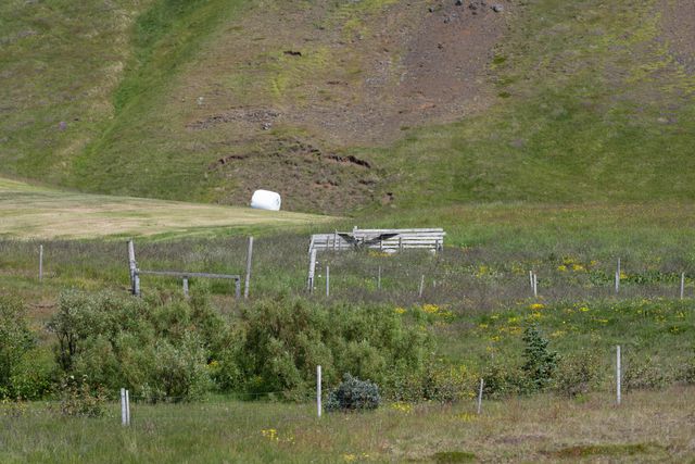 Náttúrufegurð og birkigróður í Geiradal